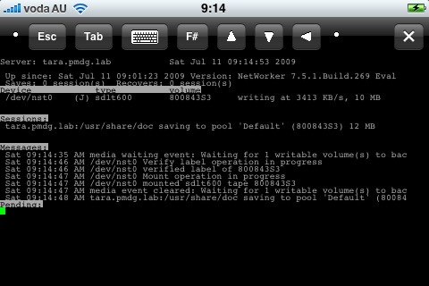 Screenshot showing backup to Mark's VTL